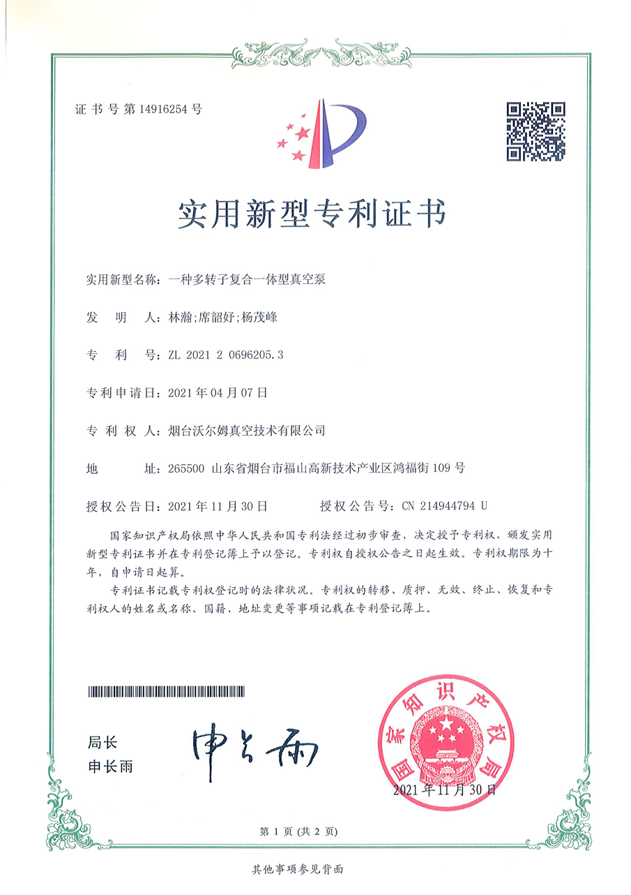 一種多轉(zhuǎn)子復合一體型真空泵