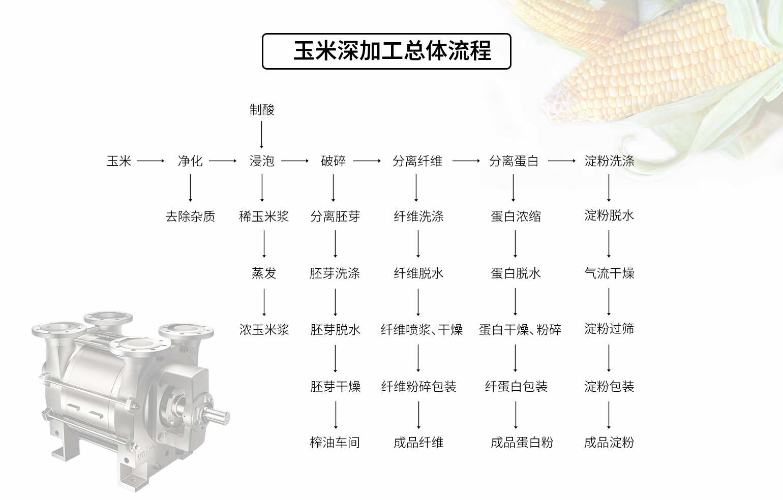 玉米深加工能耗高？蛋白易變性？答案藏在“真空”里！